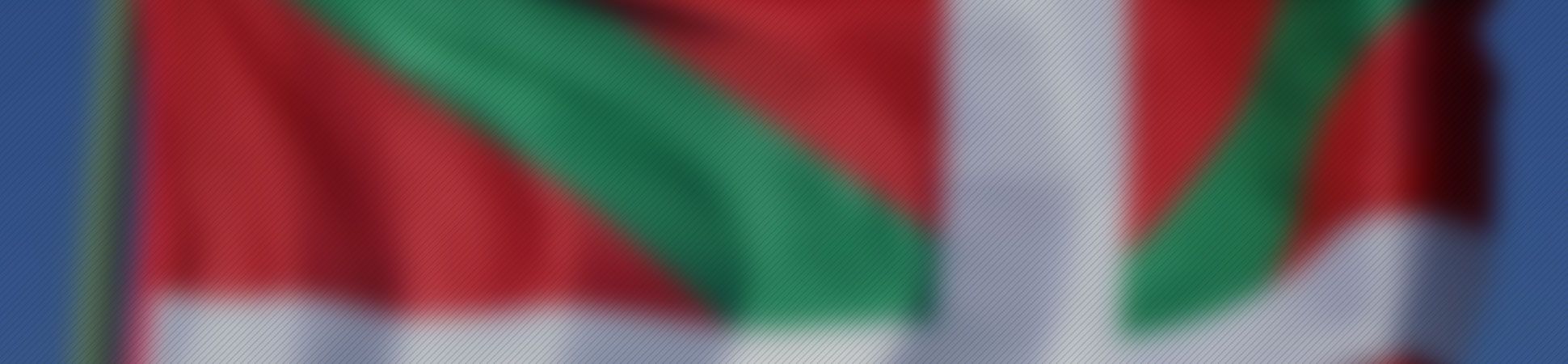 La ensoñación del euskera en Navarra