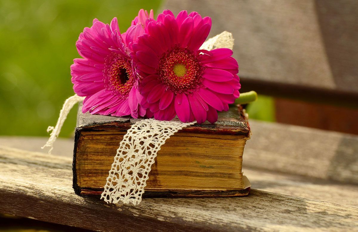 La formación de hooligans