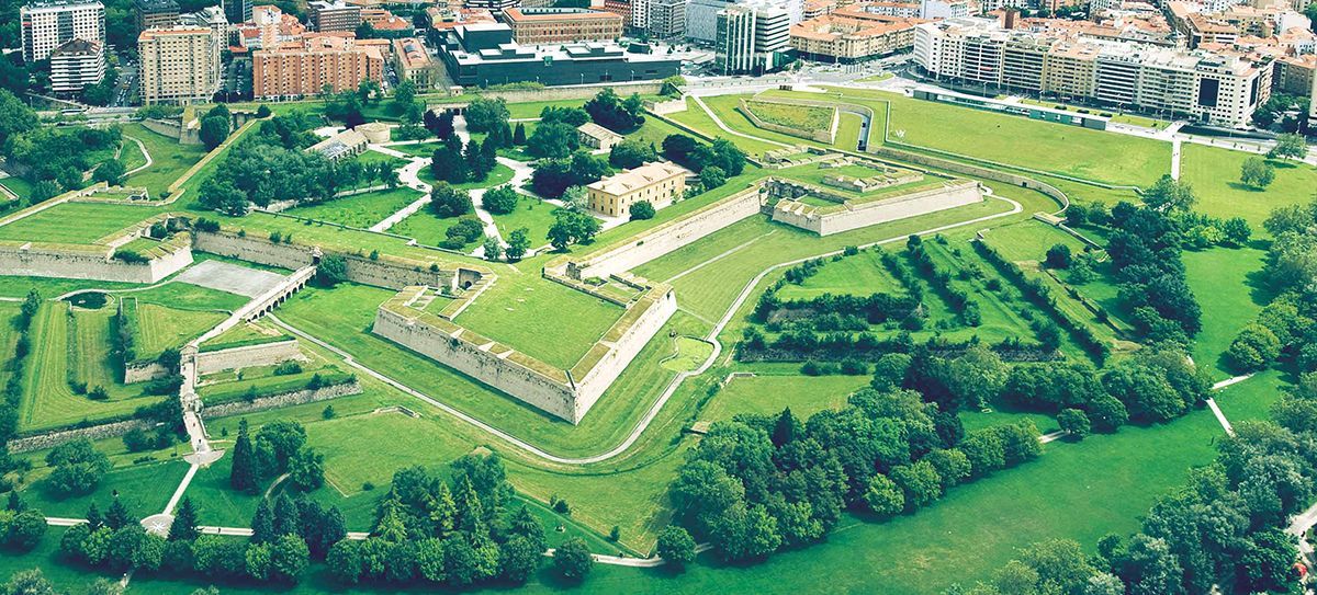 Los árboles más antiguos de Pamplona