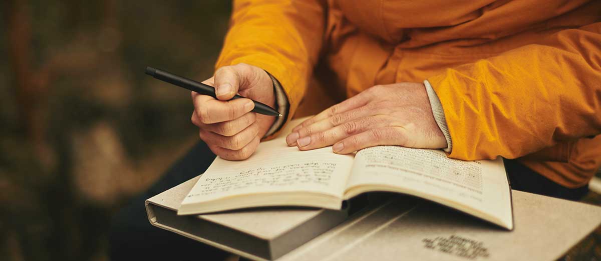 Plan de Euskera. Educación infantil, obligatoria, formación profesional y universidad