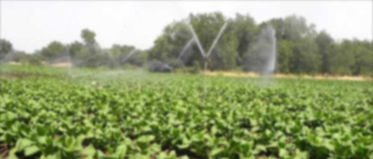 ¿Sabías que Navarra fue pionera del cooperativismo agrario en España?