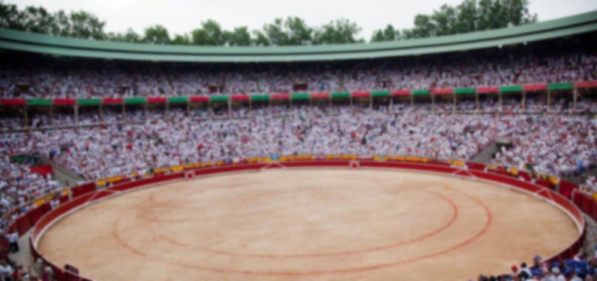 Un reglamento vacío e inapropiado