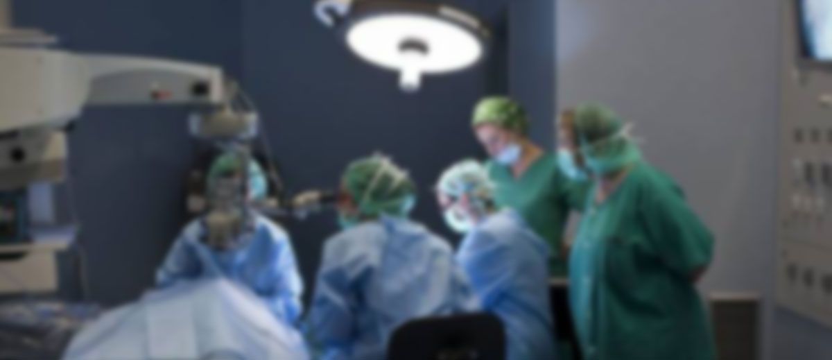 Idiotas llovidos del cielo