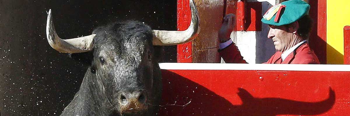 Animalistas y antitaurinos