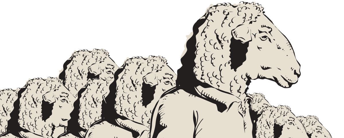 Navarra, Cataluña y Ortega