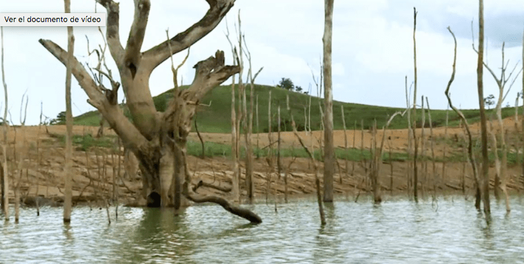 Cambio climático: ¿cuáles son los objetivos de la COP23?