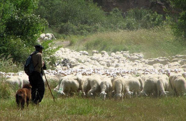 El gran patrimonio de la trashumancia